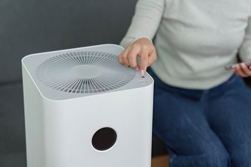 Best Dehumidifiers for Florida Homes: Qualities You Need to Consider