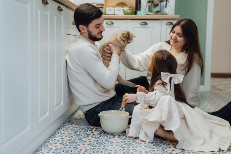 How Pets Affect Indoor Air Quality