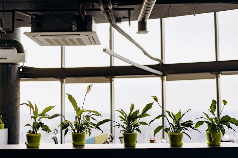 VOCs and Indoor Air Quality: What You Need to Know